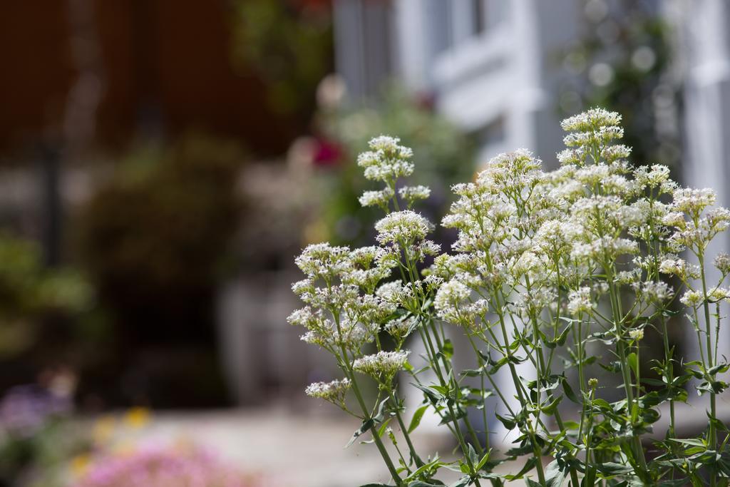 Penwinnick House B&B St Austell Dış mekan fotoğraf